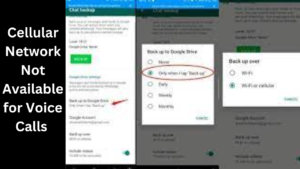Cellular Network Not Available for Voice Calls